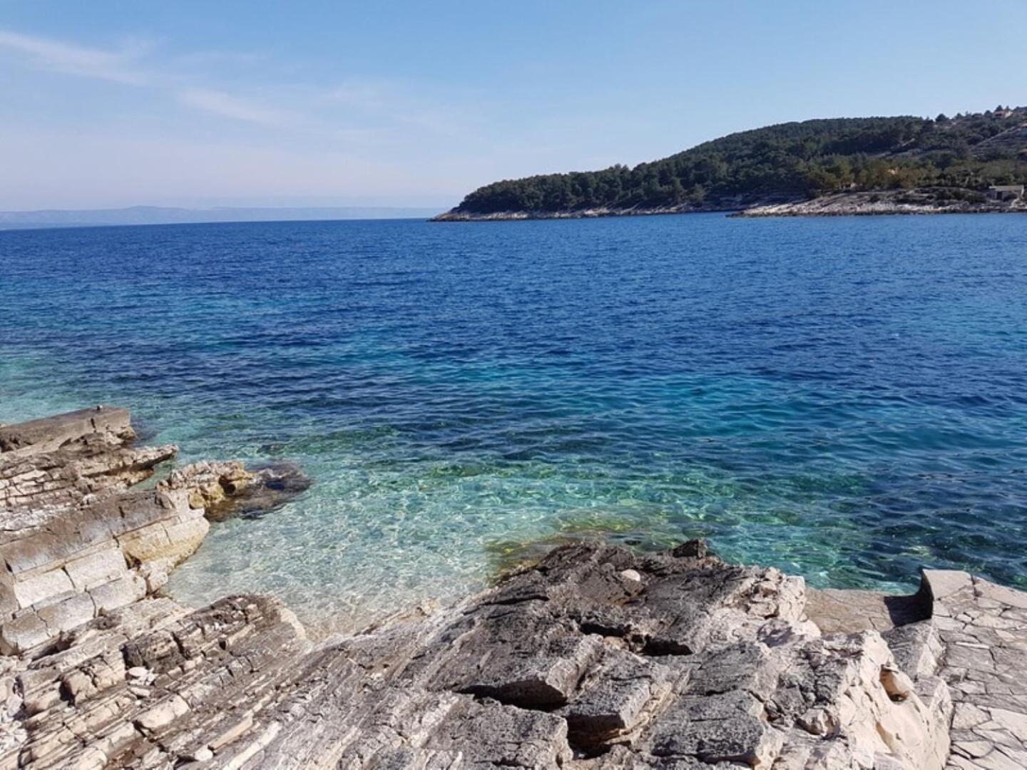 House Villa Bistrana Vela Luka Buitenkant foto